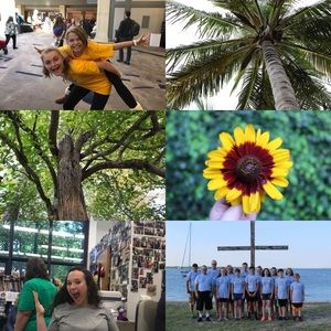 Meet your Posher, Sydney